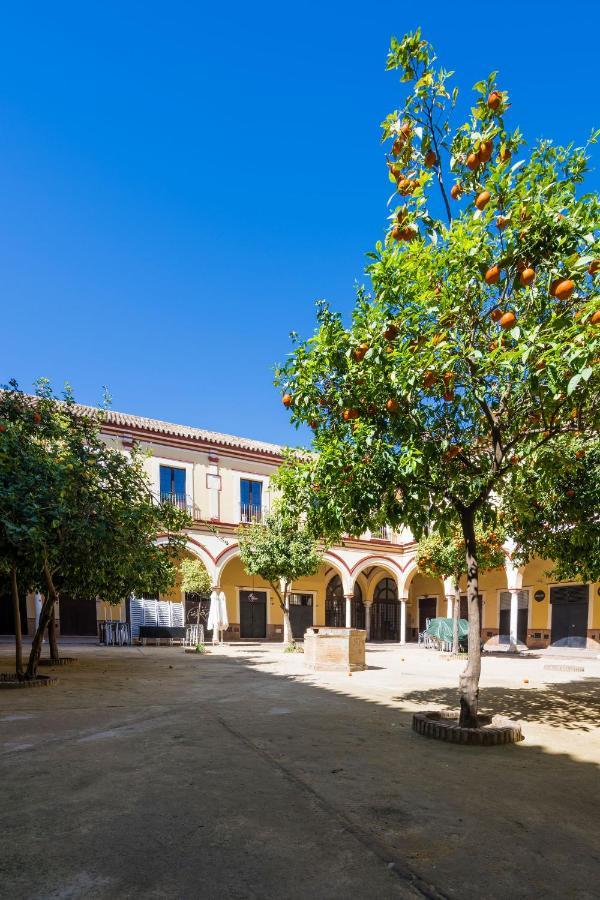 Apartamento Historico Garaje Y Wifi Sanlúcar de Barrameda Exteriér fotografie